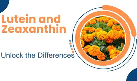 Lutein Powder Or Zeaxanthin Powder, Which Is Better?